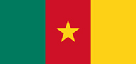 Bandera de Camerun