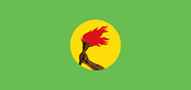 Bandera de Zaire